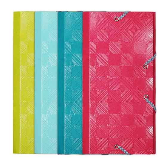 Imagem de CAPA C/ELASTICOS DL 12X23CM EXACOMPTA 1928 3 ABAS (55240E)