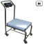 Imagem de BÁSCULA MÓVEL MODELO PPMM c/ Visor Inox LP7510